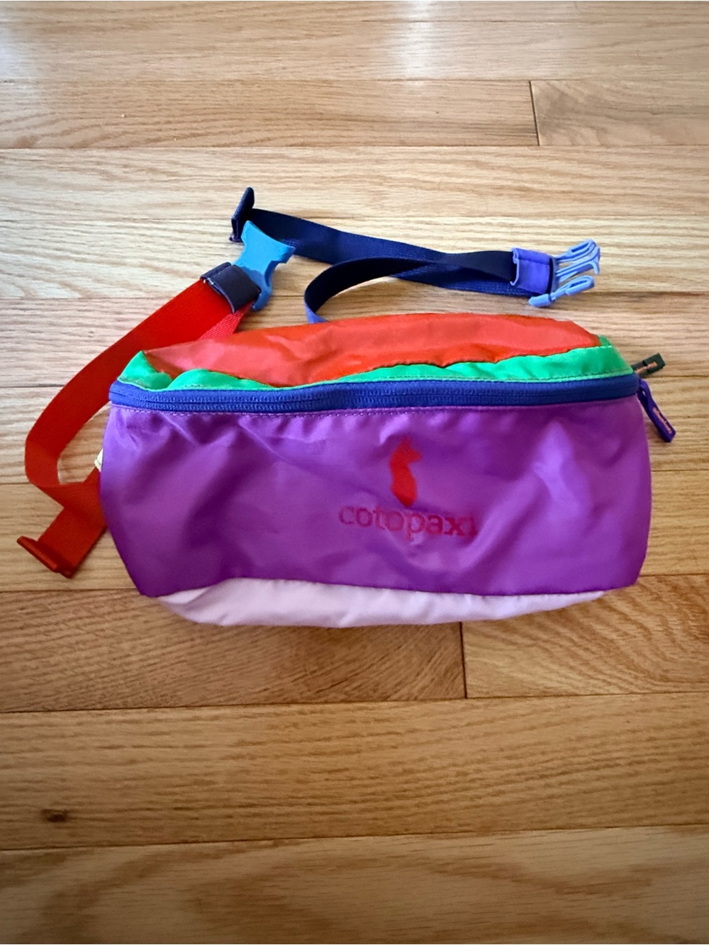 cotopaxi Bataan 3L Fanny Pack - Del Día - currently sold out on the website.